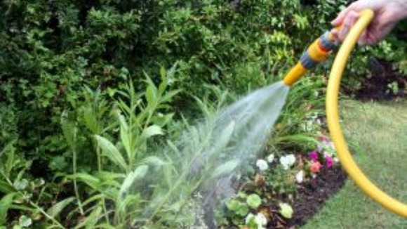 Hosepipe ban