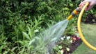 Hosepipe ban