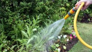 Hosepipe ban