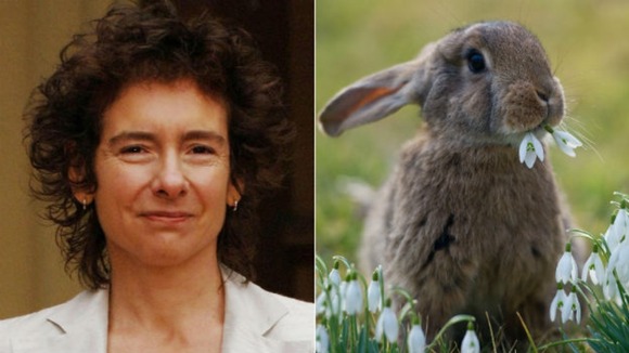 Novelist Jeanette Winterson caught, killed and ate a rabbit (not pictured) that had been eating parsley in her garden.