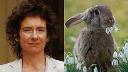 Novelist Jeanette Winterson caught, killed and ate a rabbit that had been eating parsley in her garden.