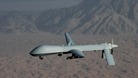 A US Predator Drone