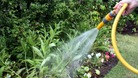 Water use in the home could be cut by around a third, the ICE estimates