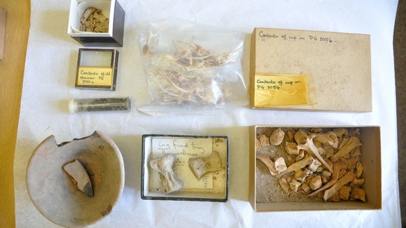 Food offerings left in a royal tomb in the ancient city of Ur at least 4,500 years ago have been discovered on top of a university cupboard.
