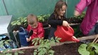 Children watering plants