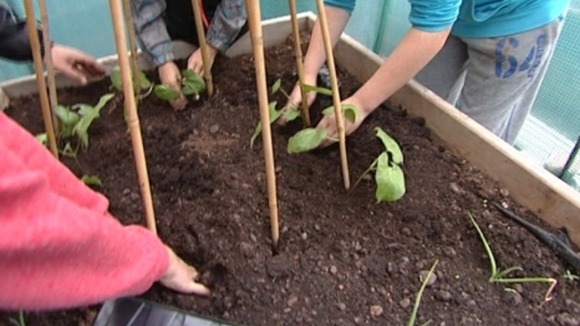 children planting vegetables