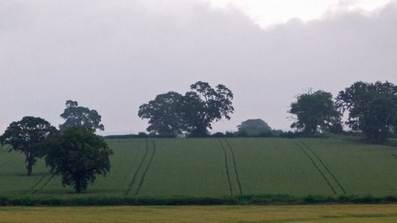 Thundery showers could hit this scene in Swithland, Leicestershire