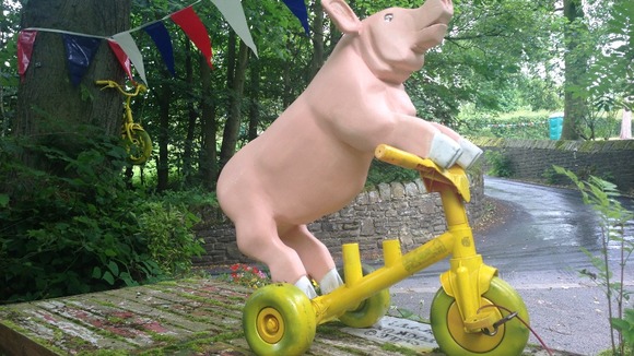 A pig on a bike...