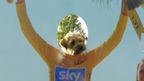Tilly the terrier