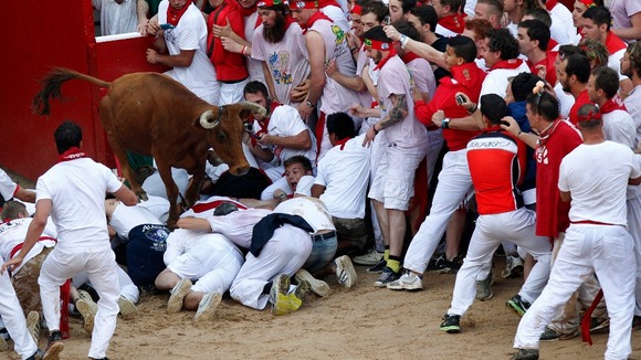 A fighting cow leaps over festival goers as she enters the ring.