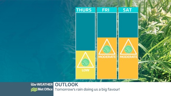 POLLEN OUTLOOK