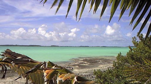 A beach at Diego Garcia.