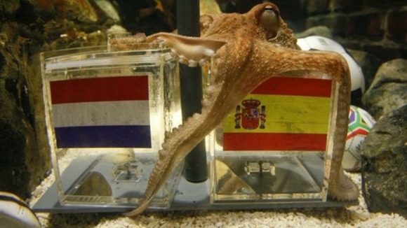 Paul the Octopus. Intelligent predictor of football matches in 2010.