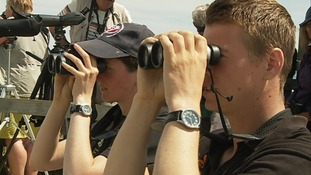 Tern watch