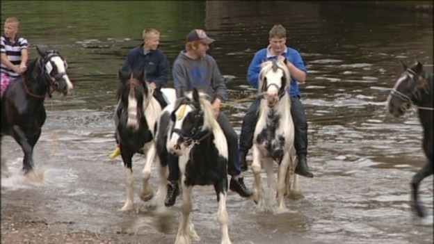Horses