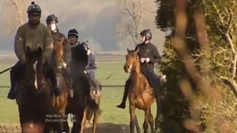 Colin Tizzard's horses