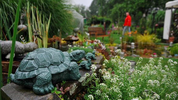 Care home gardens