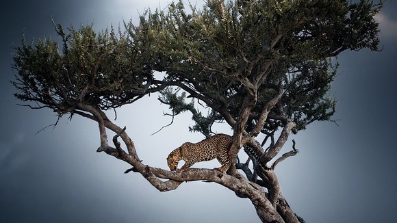 Picture by Nicolas Lotsos