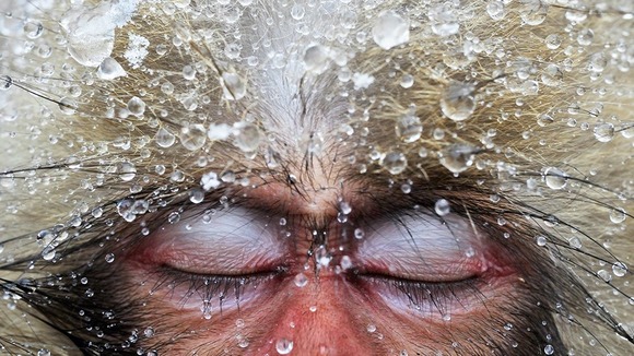 Picture by Jasper Doest