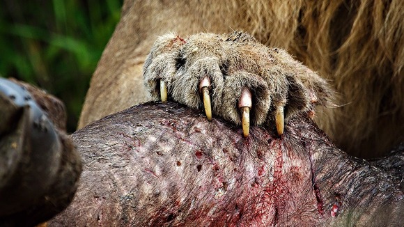 Picture by Ed Hetherington