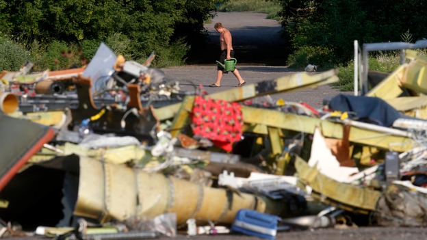 Flowers left at the site of the MH17 disaster.