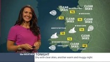 Weather