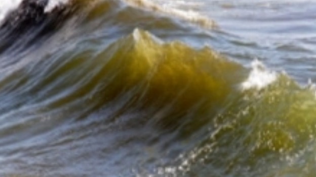Protest against sewage left on Cornish beaches