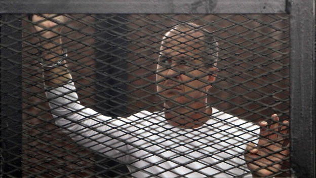 Australian journalist Peter Greste was jailed for seven years by an Egytian court for alleged terror offences, which he denies.