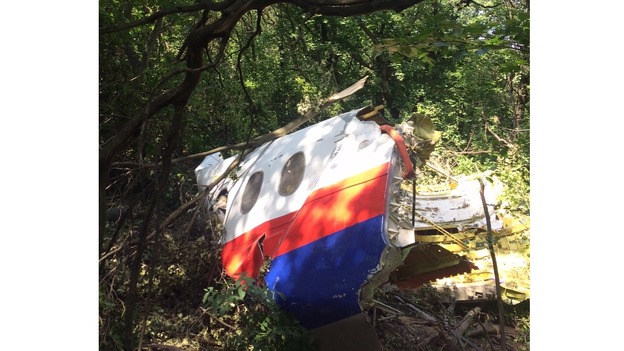 A large piece of wreckage pictured in forest near the main crash site.