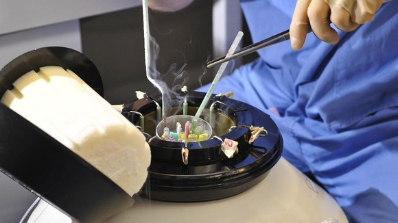 IVF