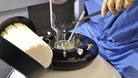 IVF