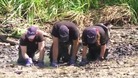 Police search for evidence