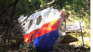 A mangled section of the plane was discovered in a forest near the main crash site in Grabovo, eastern Ukraine.
