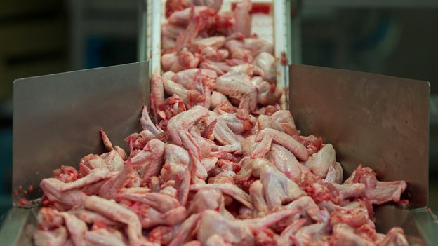 Poultry