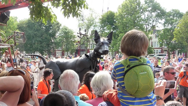 Xolo