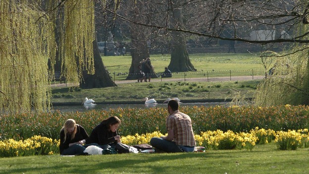 Welsh Park