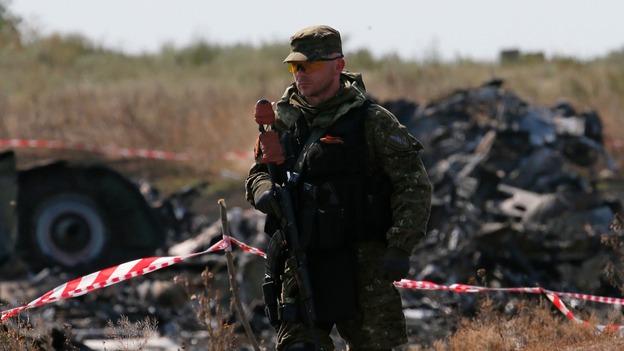 An armed pro-Russian separatist guards the site of MH17 crash.