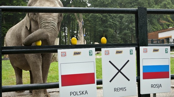Citta the psychic elephant