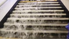 Freak storms flood south coast