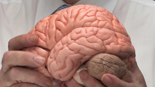A tiny part of the brain known as the habenula could make people pessimistic.