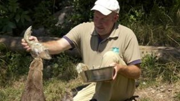 John gives his otters fishy treats
