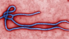 Ebola alert at Birmingham Airport as man tested for deadly virus
