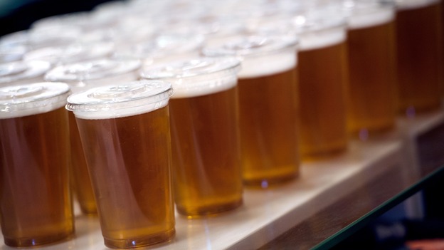 Pints of Lager are lined up waiting to be served