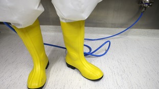 A virologist works in a high security laboratory.