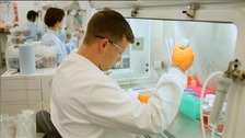 Mapping your DNA
