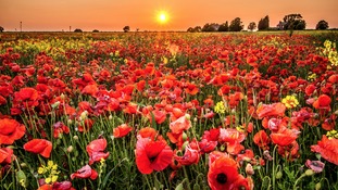 Memorial services will be taking place across the country this weekend