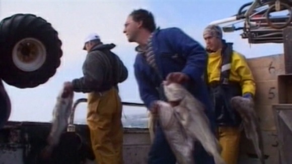 fishermen discarding unwanted fish