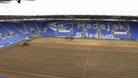 Reading pitch
