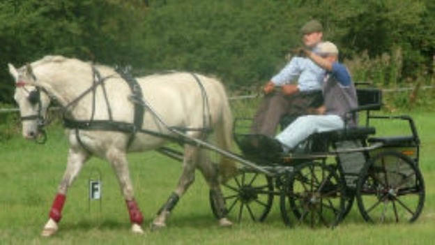 carriage