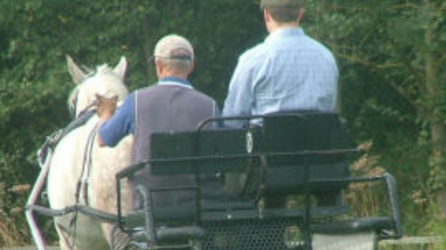 Carriage